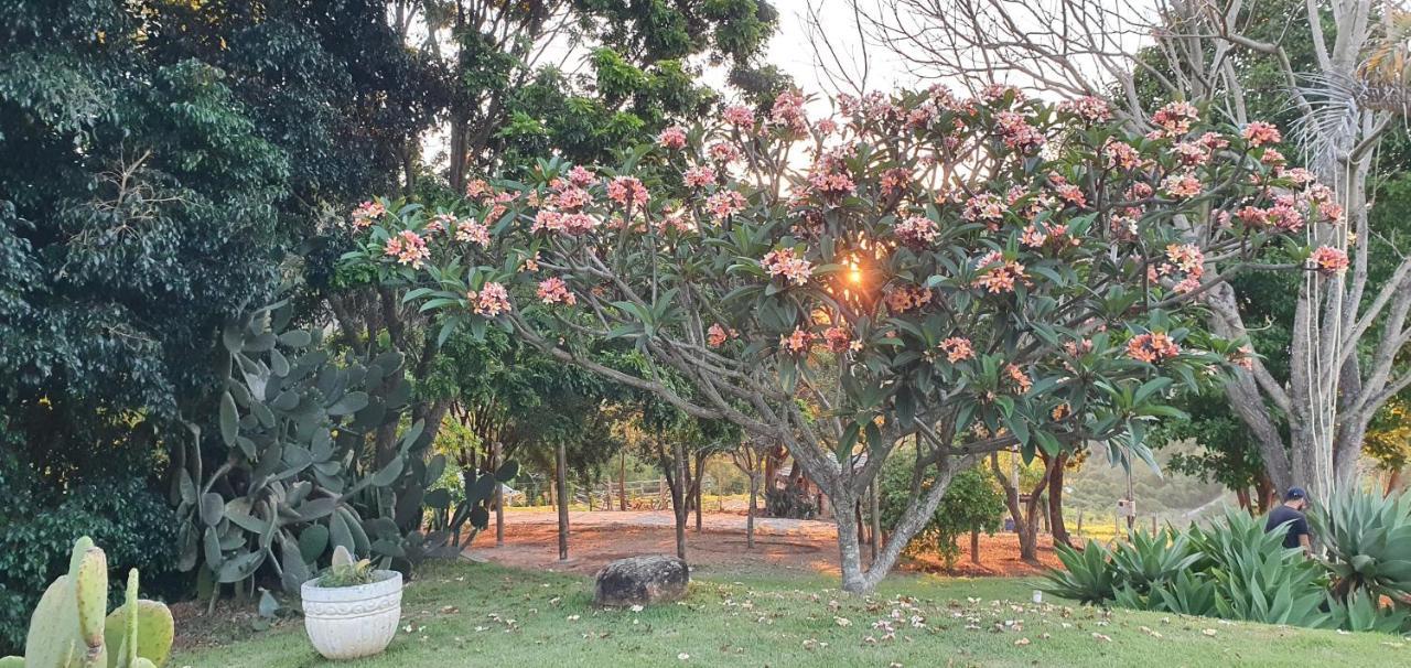 Bed & Breakfast Ellementares